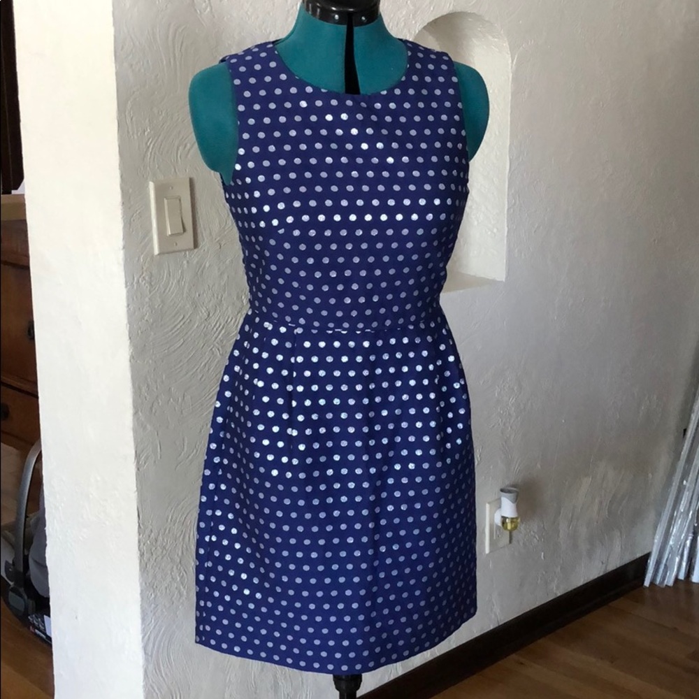 J Crew - Holiday Dress